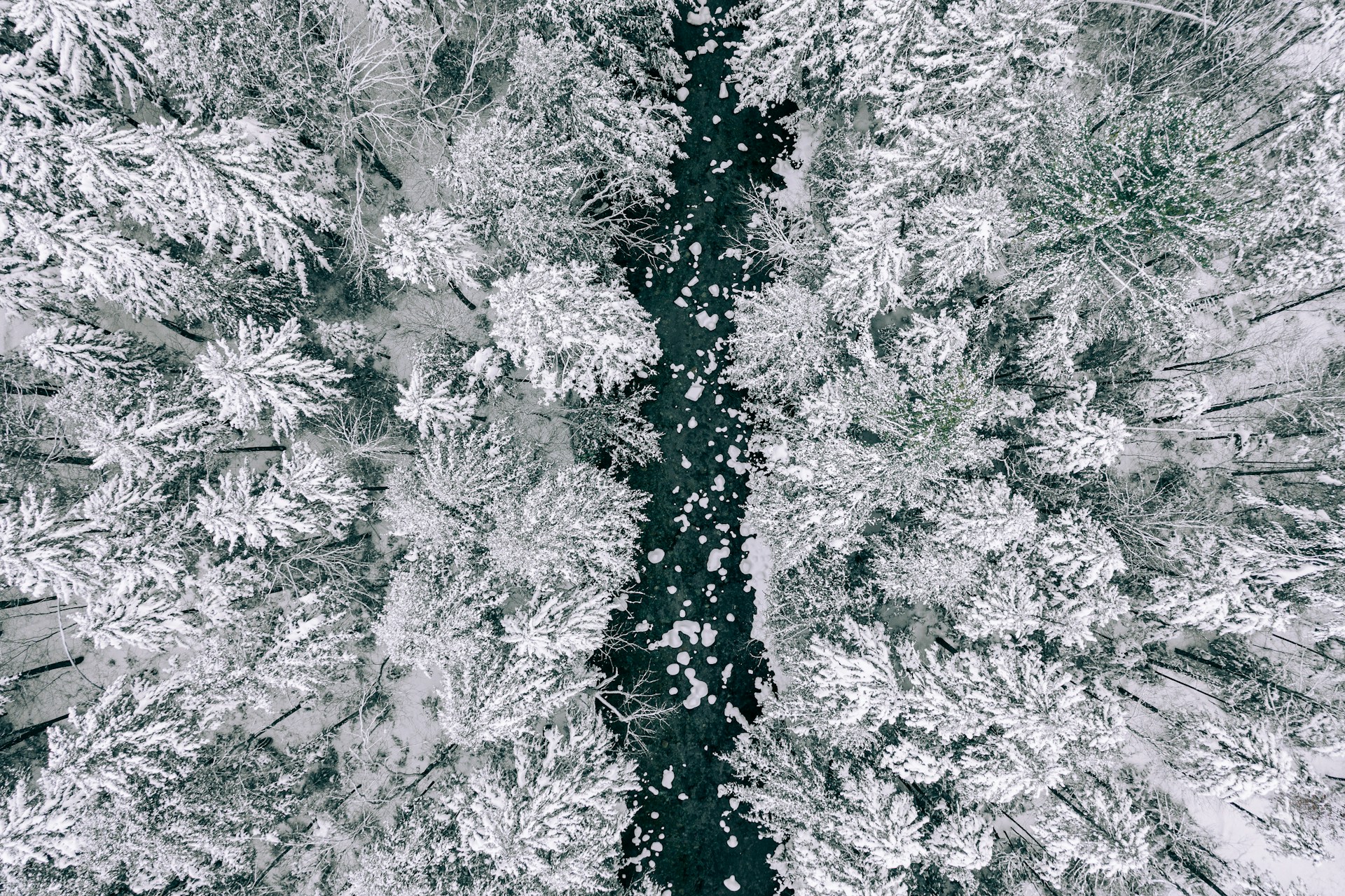 Martha Ballard Frozen River